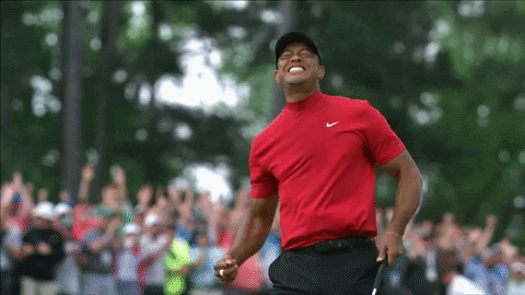 8. Tiger Woods